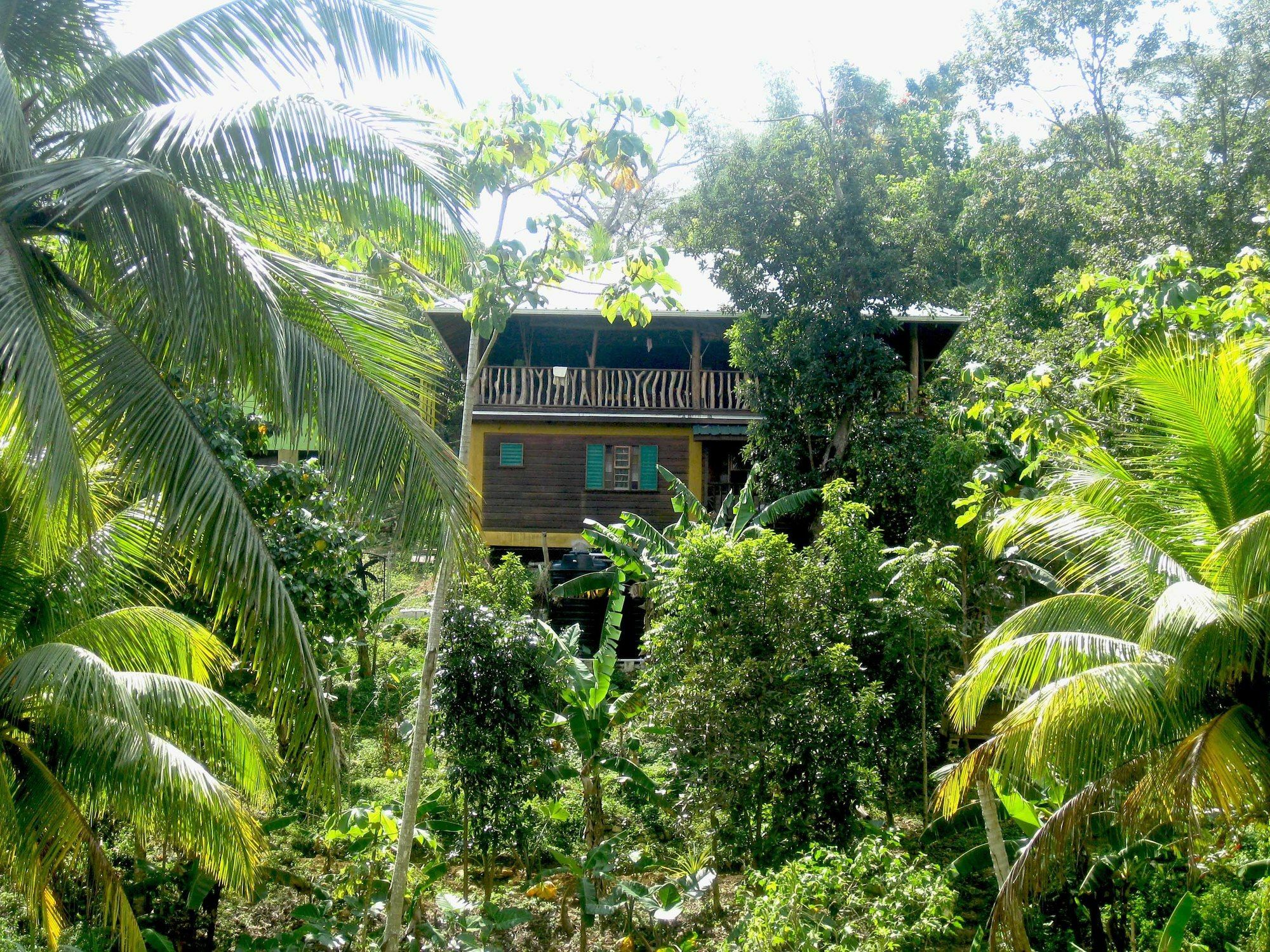 Zimbali Culinary Retreats Villa Negril Exterior foto