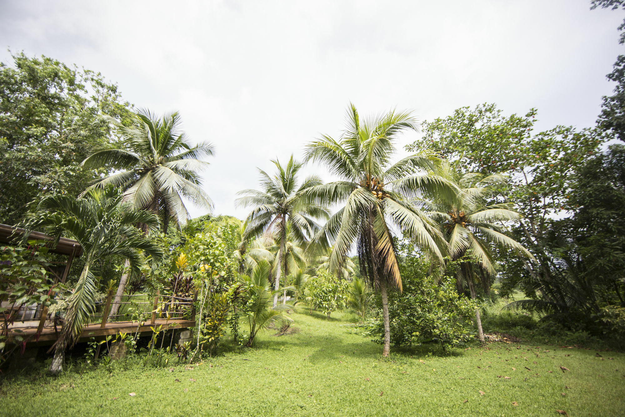 Zimbali Culinary Retreats Villa Negril Exterior foto